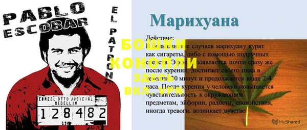 apvp Карпинск