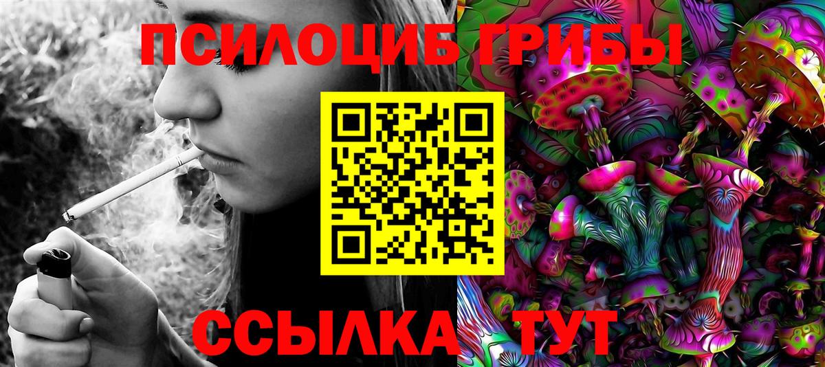 Азнакаево  Галлюциногенные грибы Psilocybine cubensis  Галлюциногенные грибы Magic Shrooms  Вход с VPN 